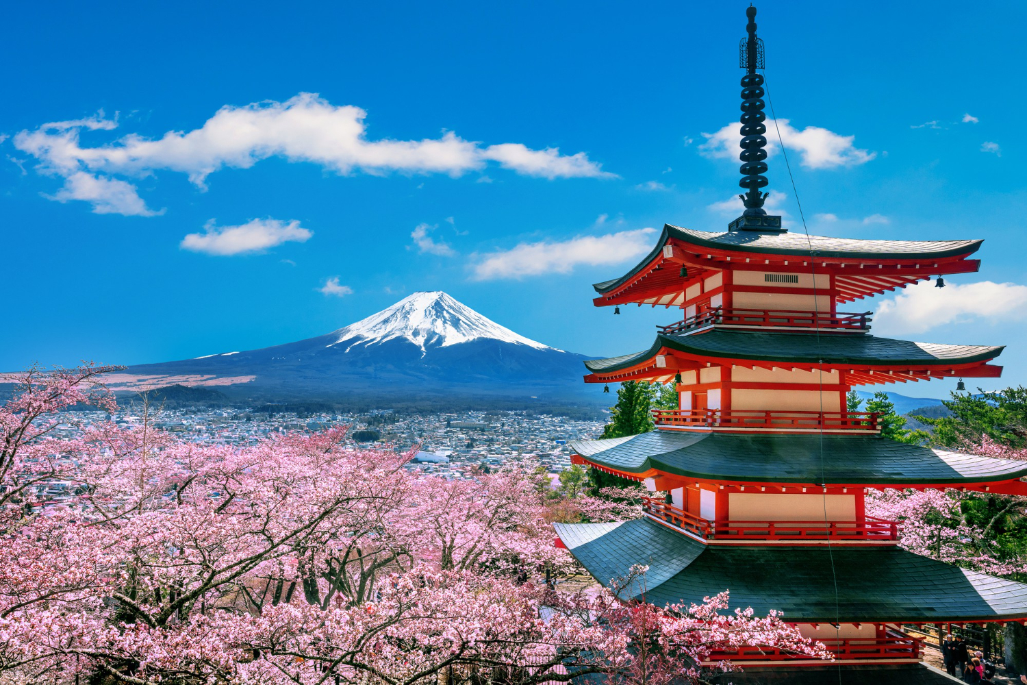 Navigating Work Visa Opportunities in Japan: Tips for Success